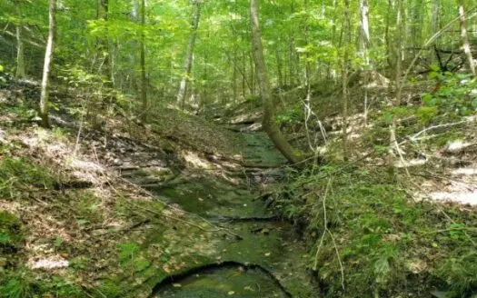 Land in Tennessee with Creek & Water Fall and Owner Terms!