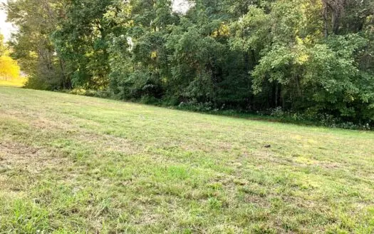 Land for Sale Shepardsville Hwy Bloomington Springs Tn 3854