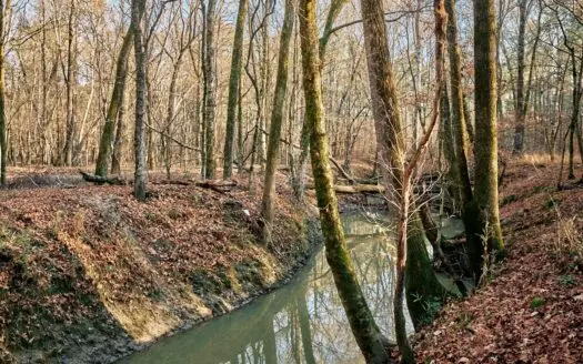 Monroe County Ms Land for Sale