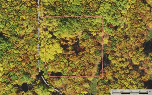 2.5 Acre Wooded Building Site for Sale in Pine County Mn