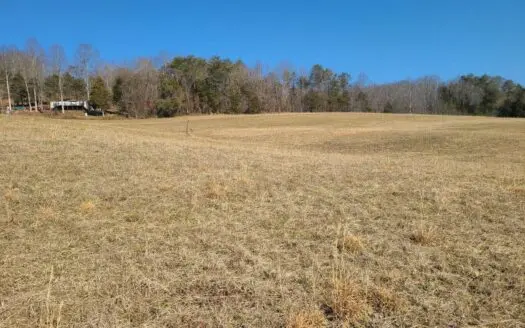 10 Acres Unrestricted Land in East Tn for Sale