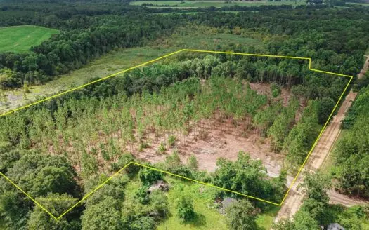 14 +/- Acres for Sale in Slocomb, Al