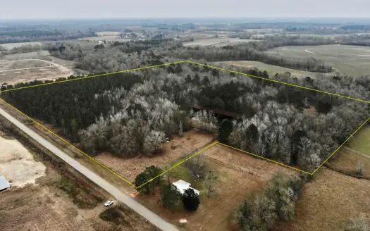 36ac Slocomb Alabama Land for Sale W/ Pond – Geneva County