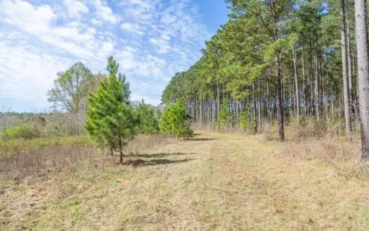 12 +/- Acres for Sale Hartford, Al