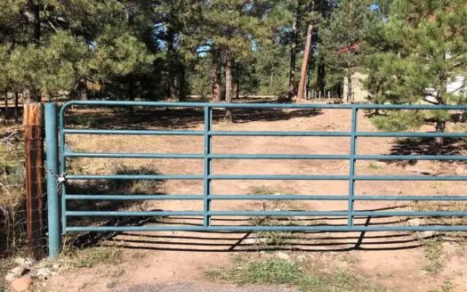 Land for Sale in Town Next to Sargeants Wildlife Preserve