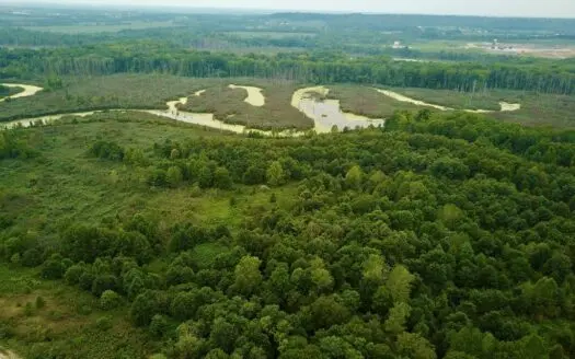 Hunting & Recreational Land for Sale on Pigeon Creek So. in