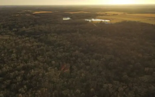 Land for Sale Saint Clair County Missouri