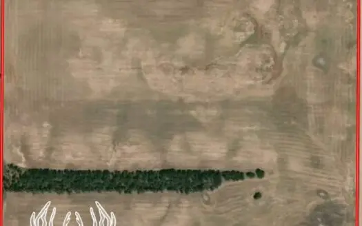 157 Acres M/l Kiowa County Kansas Farmland for Sale