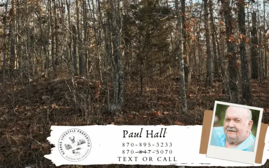 Corner Lot for Sale in Mammoth Spring, Ar