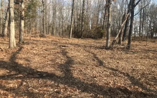 1.13 Acres Near Mark Twain Lake Stoutsville Missouri