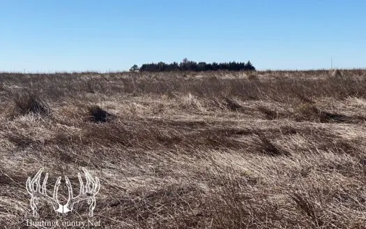 160 Ac M/l Farm Ground in Ford County Kansas for Sale