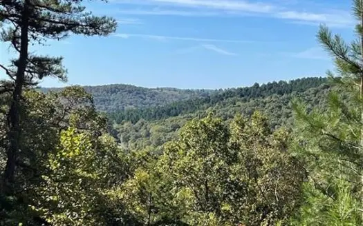 Unrestricted Land for Sale in Ar