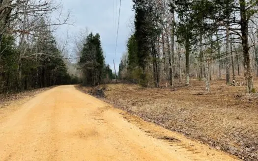 13 Acres in the Ozark Mountains Of North Central Arkansas