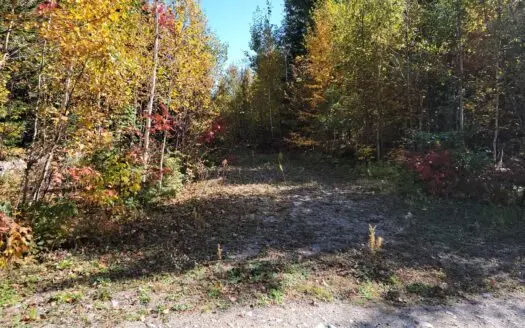 Land for Sale Near Cold Stream Pond