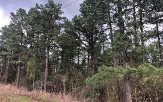 East Texas Land for Sale Cass County Texas