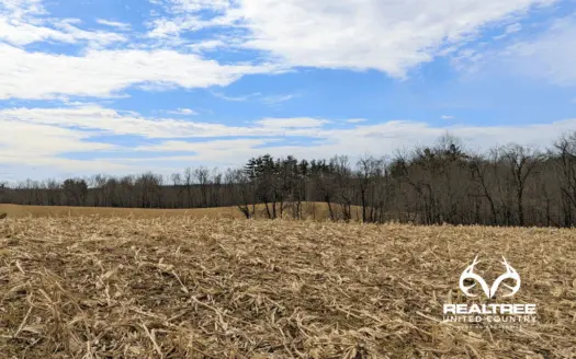 Ohio Hunting Land Near Muskingum County