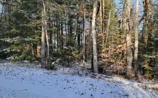 Land for Sale in Prentiss, Maine