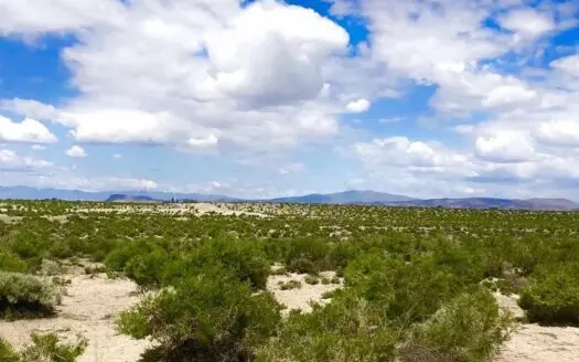 Land for Sale Fallon Nv