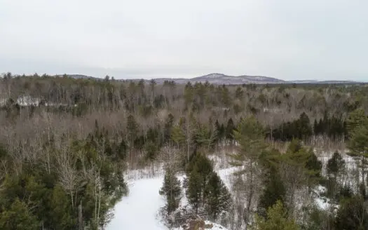 102± Acres for Sale in Waterboro