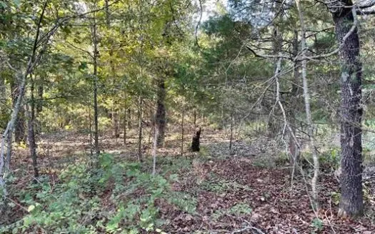 Land for Sale in Arkansas