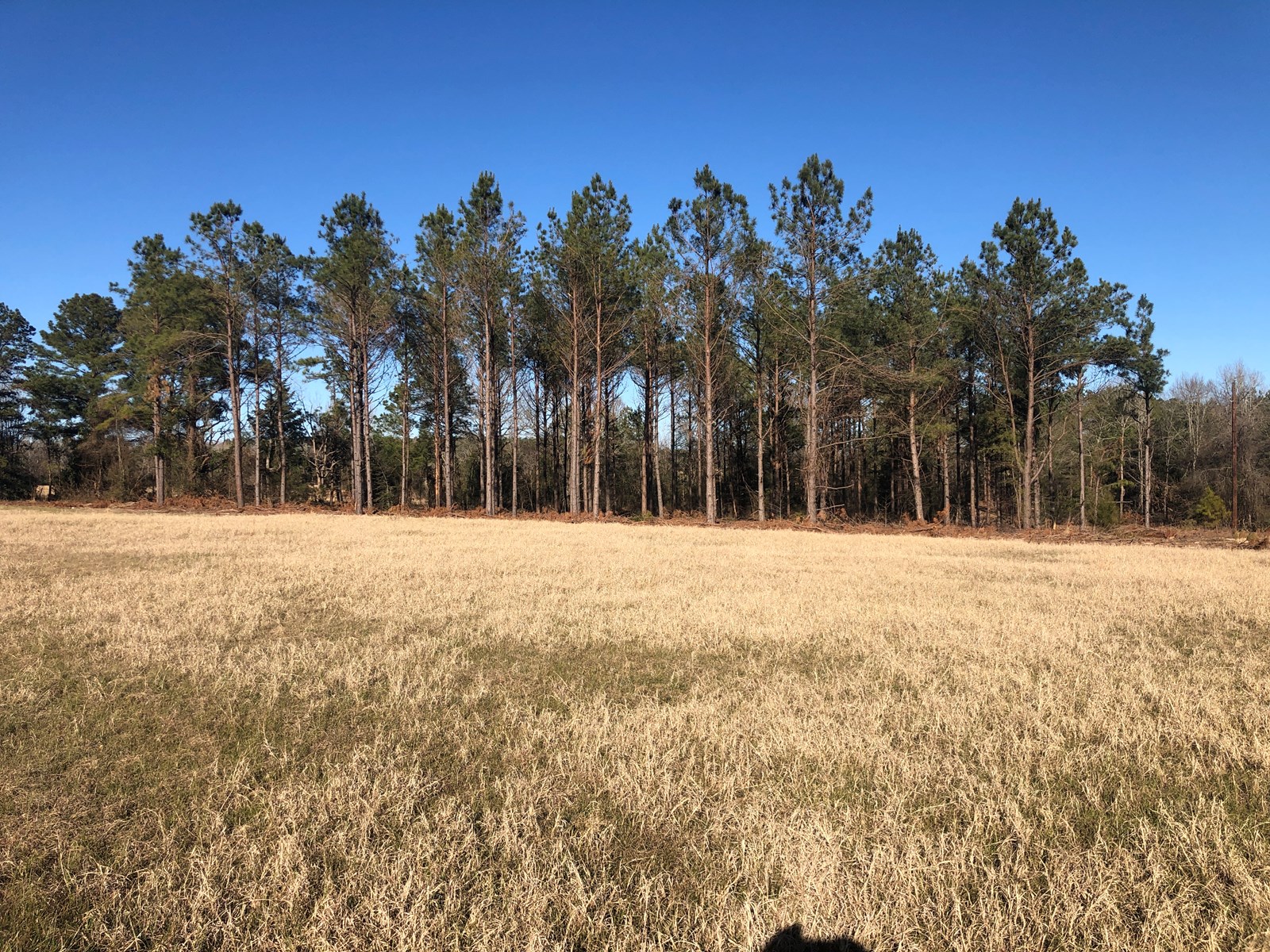 Cherokee County Lands For Sale