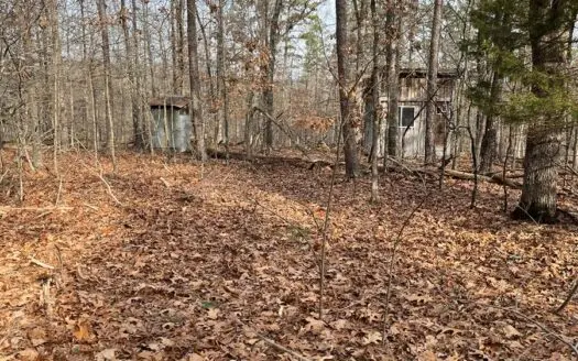 Madison County Missouri Land for Sale 6 Acres