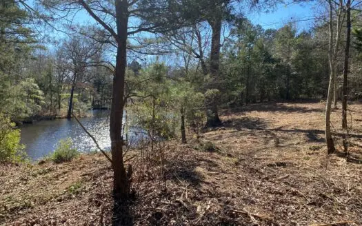 Land for Sale for Sale in Gilmer, Texas