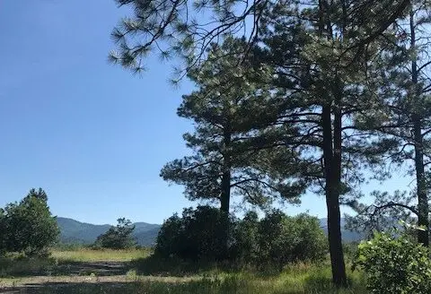 Chama Nm Land for Sale Near Chama River with Utilities