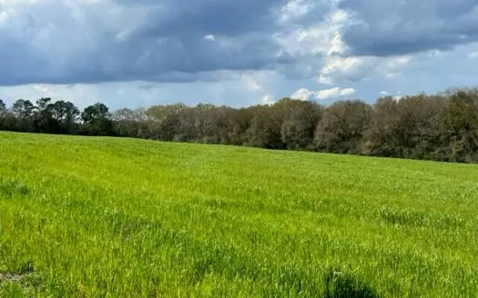 Land for Sale in Holmes County, Florida