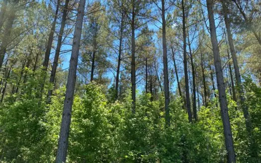 Land in Tn Cable Internet, Water, & Electricity Available