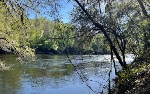 0.74 Acre Suwannee River Front Lot for Sale