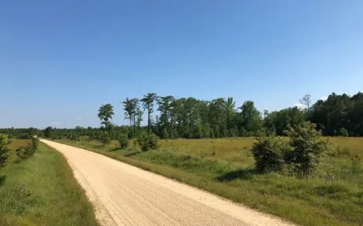 Recreational Pine Land by National Wildlife Refuge for Sale