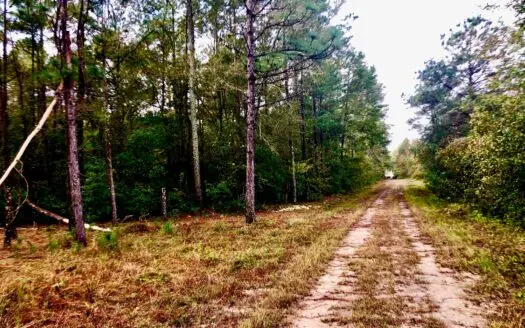 Hunting Property for Sale Craven County Nc