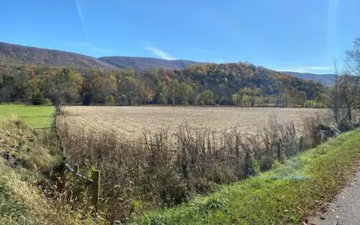 Farmland for Sale in Bland Va!