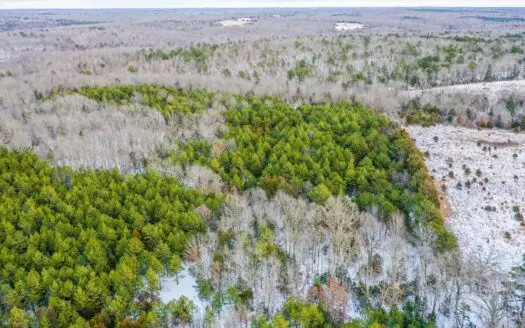 20 Acres Of Land, Perfect for Hunting!