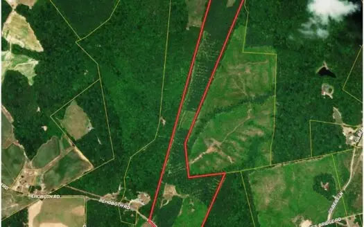 Hunters, Are You Looking for Big Game in Southern Va