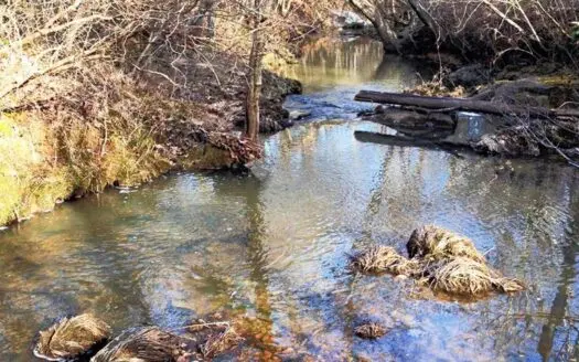 A Paradise for Hunters in Southern Va