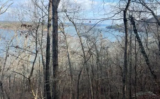 Lakefront Lot for Sale on Greers Ferry Lake Arkansas