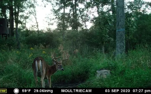 Trophy Whitetail Estate for Sale in Marquette County, Wi