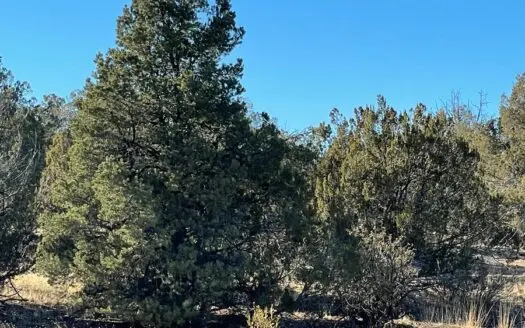 2 Beautiful Acres Great Camping Location Near Hunting