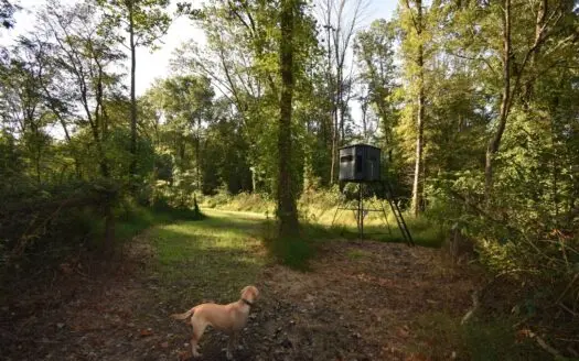 Southern in Hunting Land with Water for Sale Near Evansville