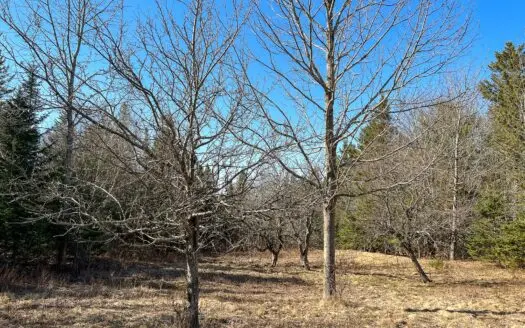 Land with Mountain Views for Sale