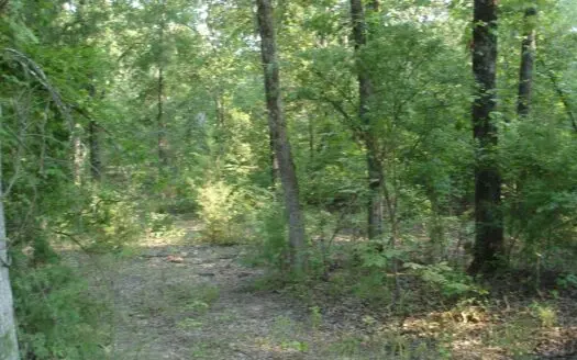 Recreational Land for Sale Detroit Texas Red River County