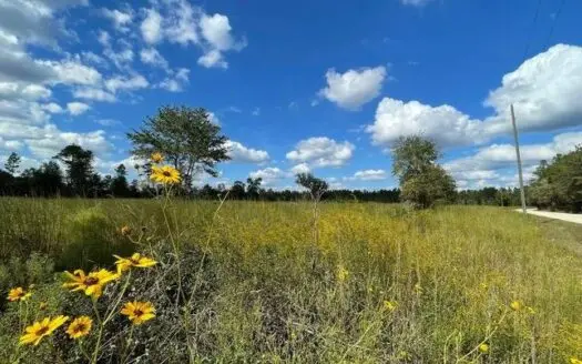 Beautiful Winding River Preserve!