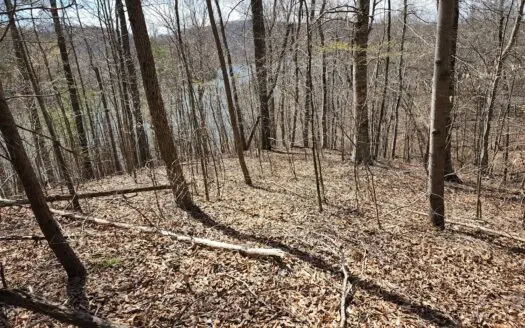 Wooded Lot for Sale on Lake Norris Tennessee