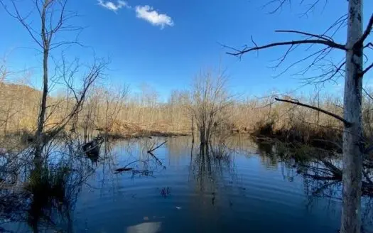 Calling All Duck Hunters to Southern Va