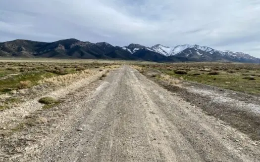 Land for Sale Imlay, Nv