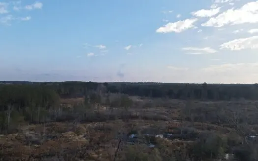 Hunting and Recreational Tract Dallas County Arkansas