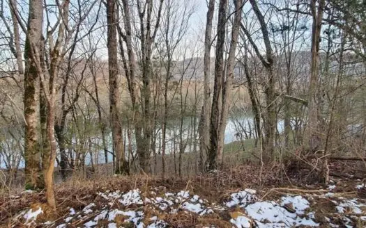 6.5 Acres Unrestricted Land in East Tn for Sale