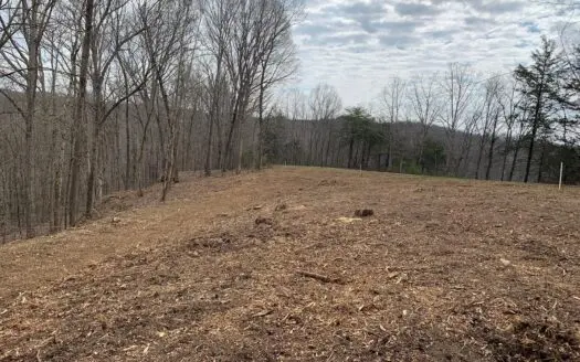 Pending Lot Near Dale Hollow Lake in Albany, Kentucky